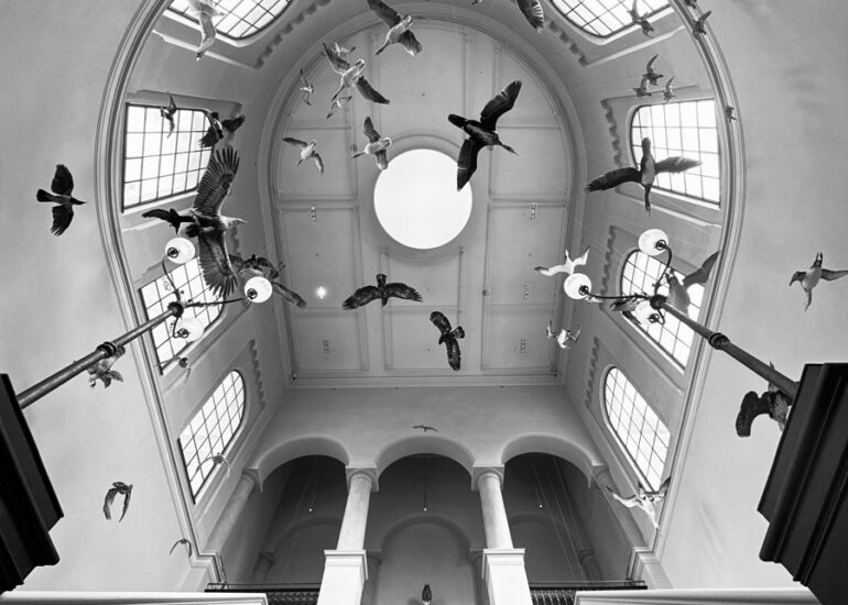 Froschperspektive im Museum