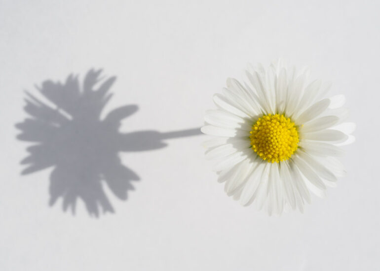 Licht und Schatten