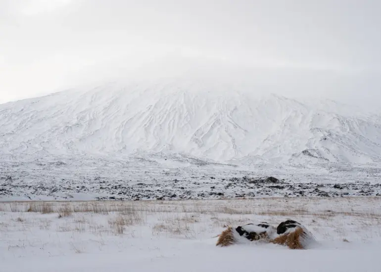 Winterlandschaft auf Island