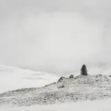 Monolith