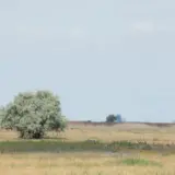 Pusztalandschaft
