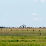 Viehwirtschaft in der Puszta